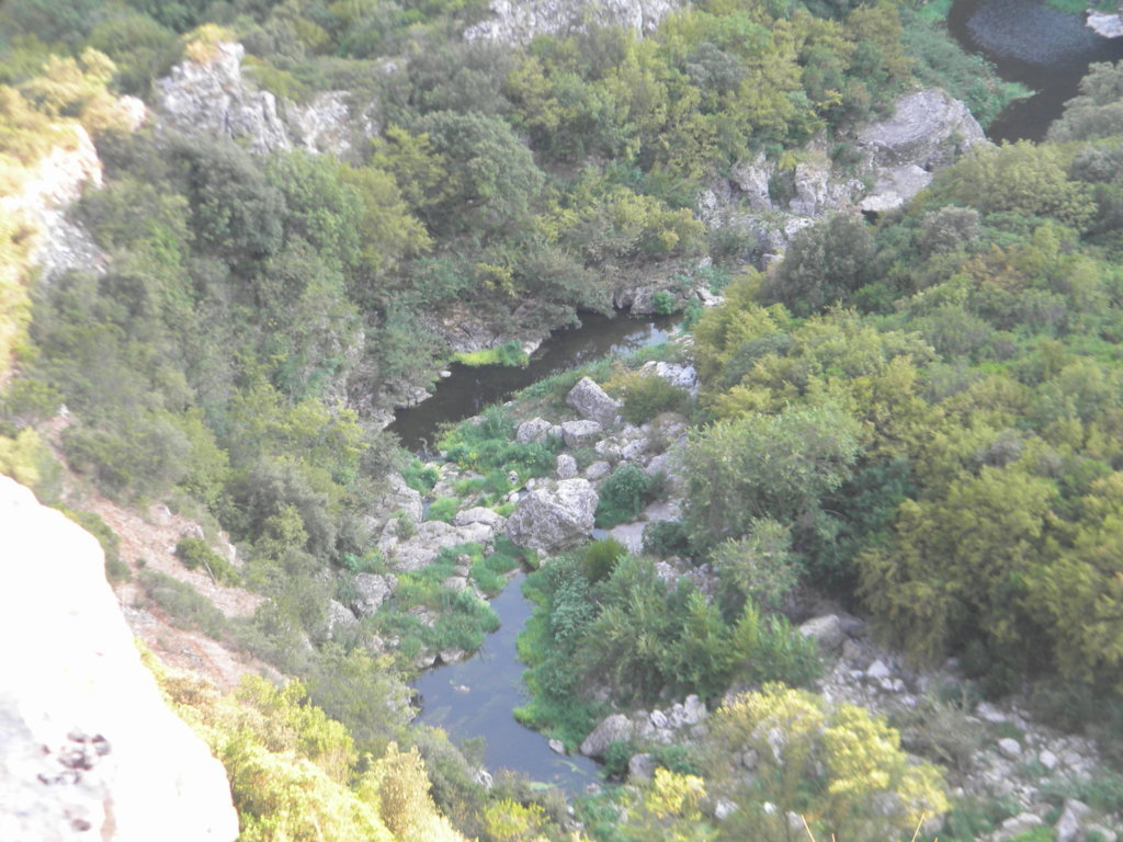 DSCN2642 .JPG